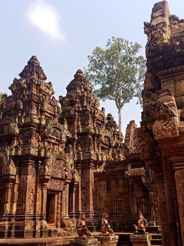 Siem Reap Private Tour: Angkor Wat Sunrise And Banteay Srei - Banteay Srei’s detailed carvings