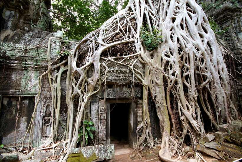 Siem Reap: Private Tour of Angkor Complex - Angkor Thom and the South Gate