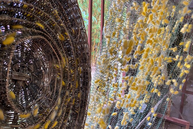 Siem Reap: Silk Farm & Countryside Offbeat Jeep Tour - What $55 buys you