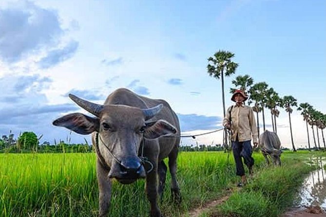 Siem Reap: Silk Farm & Countryside Offbeat Jeep Tour - The war museum and Buddhist temple