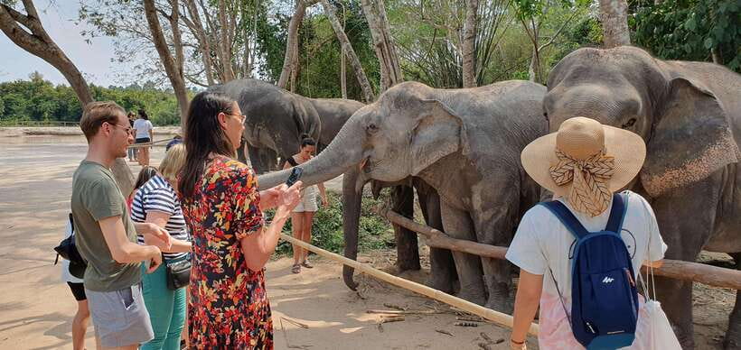 Siem Reap: Small Group Tour of Kulen Elephant Forest - What to bring for a better visit