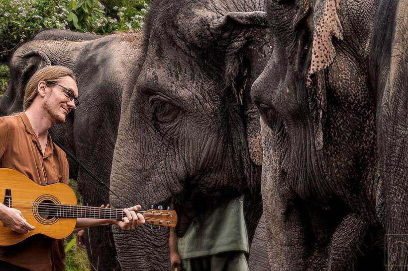 Siem Reap: Small Group Tour of Kulen Elephant Forest - What the elephant session is really like