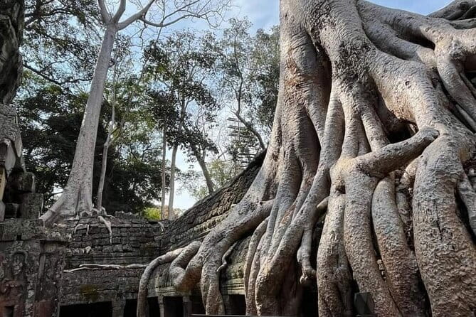 Siem Reap Temple Tuktuk Tour: Explore Angkor Wat and beyond. - The important difference between a driver and a temple guide