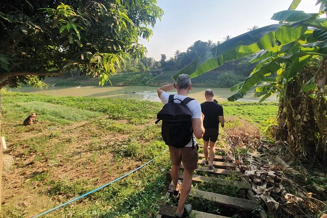 Siem Reap to Battambang Private Guided Tour (Day Trip) - The Bamboo Train is the day’s playful break