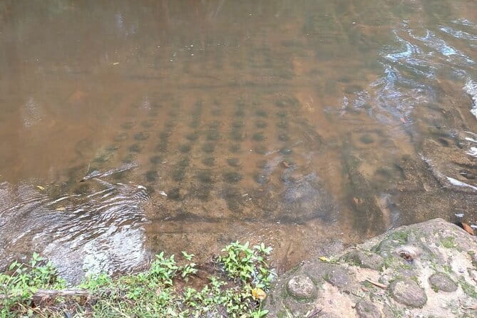 Siem Reap to Phnom Kulen: Waterfalls & 1000 Lingas Tour - Finding the 1,000 Lingas in the river