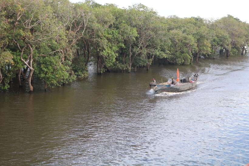 Siem Reap: Tonle Sap Lake - Fishing Village & Flooded Forest - Cruising through the flooded forest