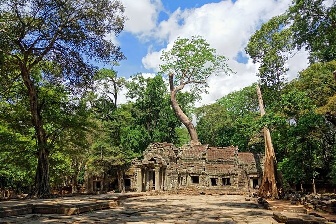 Siem Reap Tour: Angkor Wat Sunrise, Bayon, Ta Prohm, Banteay Srei - Lunch, then the many faces of Bayon
