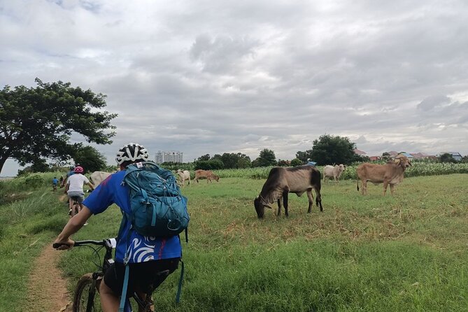Silk Island at Twilight Cycle Encounter - Leaving Phnom Penh by tuk tuk and ferry