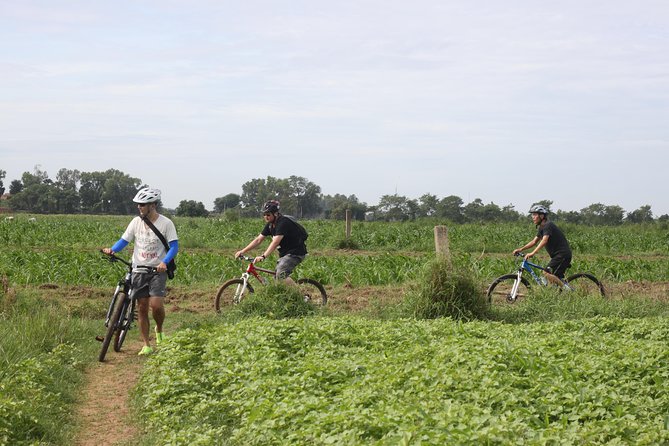 Silk Island Cycling Adventure & lunch with locals - Silk weaving, food production, and local work