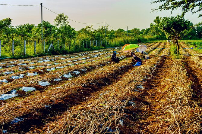 Silk Island Private Half-Day Tour from Phnom Penh - Who should book this Silk Island outing?
