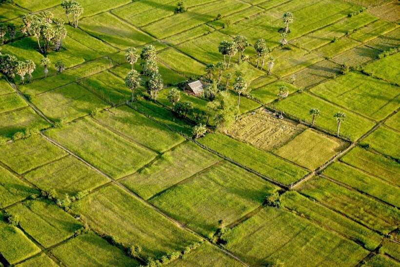 Sky Venture Microlight Siem Reap - Key points at a glance