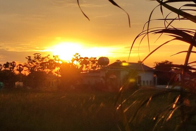 Small Group Countryside Bike Tours, Sunset & Picnic - Who will enjoy this ride most