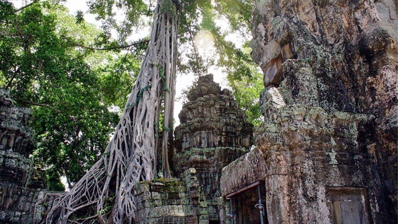 Small-Group Explore Angkor Wat Sunrise Tour with Guide - Why this early start makes sense