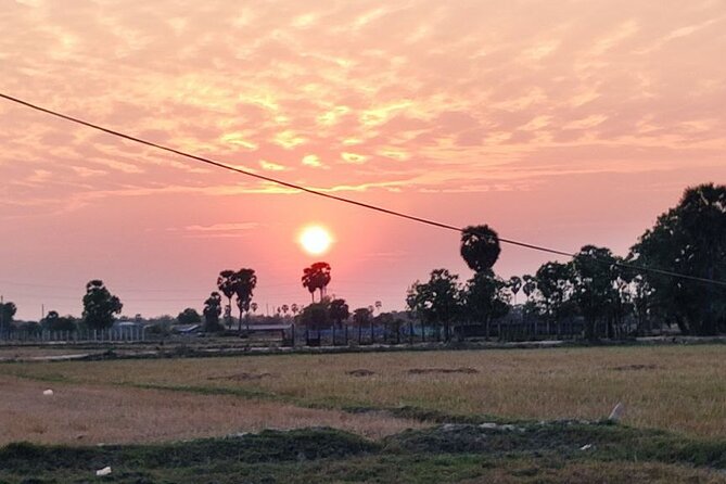 Small Group Sunset, Picnic & Countryside, Bike Tours - Tasting Cambodian street food and desserts