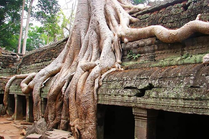 Special Three Days Angkor Tour - Three days gives Angkor room to breathe