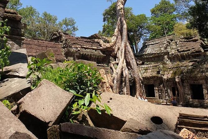 Special Three Days Angkor Tour - A local guide can change the pace