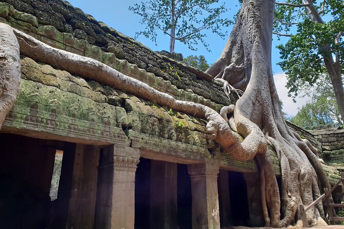 Special Three Days Angkor Tour - Booking details worth checking before departure
