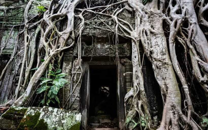 Sunrise at Angkor Wat and Small Tour with Tours Guide - Shared group or private group?