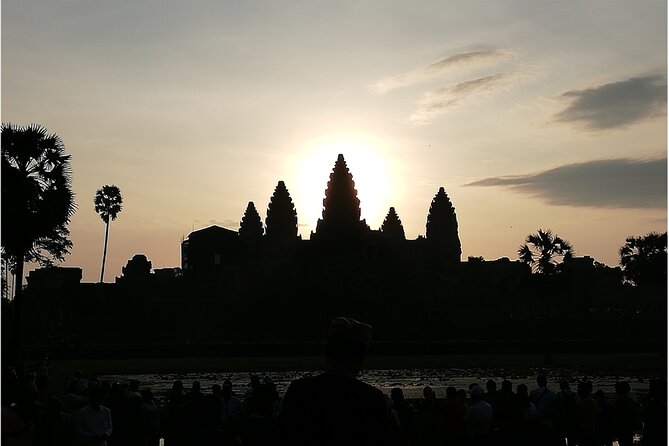 Sunrise Small Group Tour to Angkor Wat Temple - Ta Prohm brings the jungle atmosphere