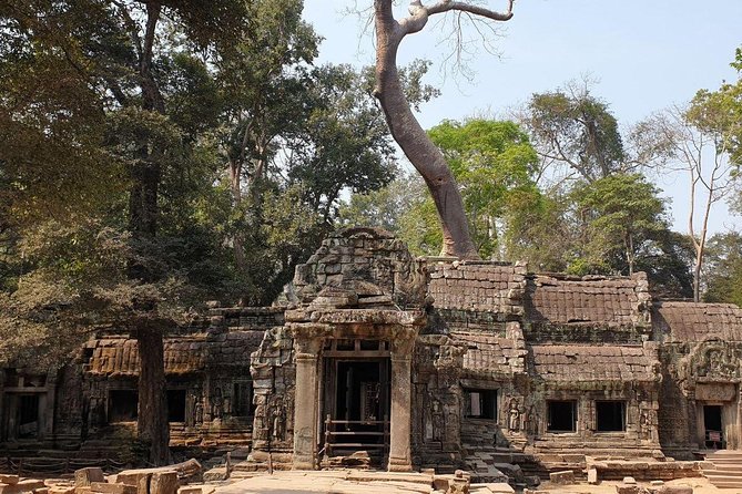 Sunrise Tour of Angkor Temples from Siem Reap - Who will enjoy this Angkor morning most?