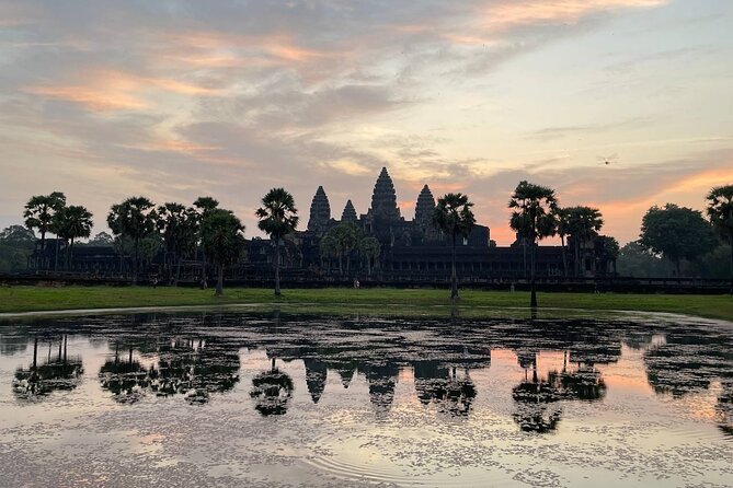 Sunrise Tour of Angkor Temples from Siem Reap - Ta Prohm and the appeal of ruins reclaimed by trees