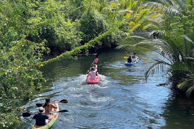 Sunset Scenic Kayaking and Swimming Activity - Key points to know before you book