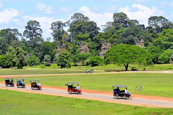 The Angkor Temples from Sunrise by Tuk Tuk - Ta Prohm and the trees over the ruins