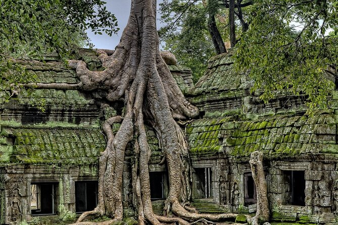The Angkor Temples from Sunrise by Tuk Tuk - Angkor Thom and the Bayon’s stone faces