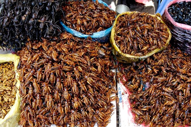 The Journey Phnom Penh to/from Siem Reap: A Memorable Tour - Skun and the famous spider market