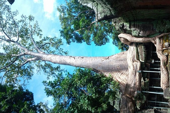 The Magnificent Angkor Wat - Ta Prohm: roots, stone, and the Tomb Raider connection