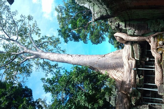 The Magnificent Angkor Wat - Price, extra costs, and overall value
