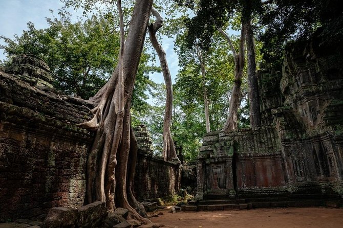 The Ultimate Angkor Wat Temple Private Day Trip - What the $64.03 price really covers