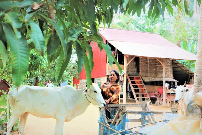 Tonle Sap Lake - Fishing Village & Flooded Forest - Who will enjoy this outing most