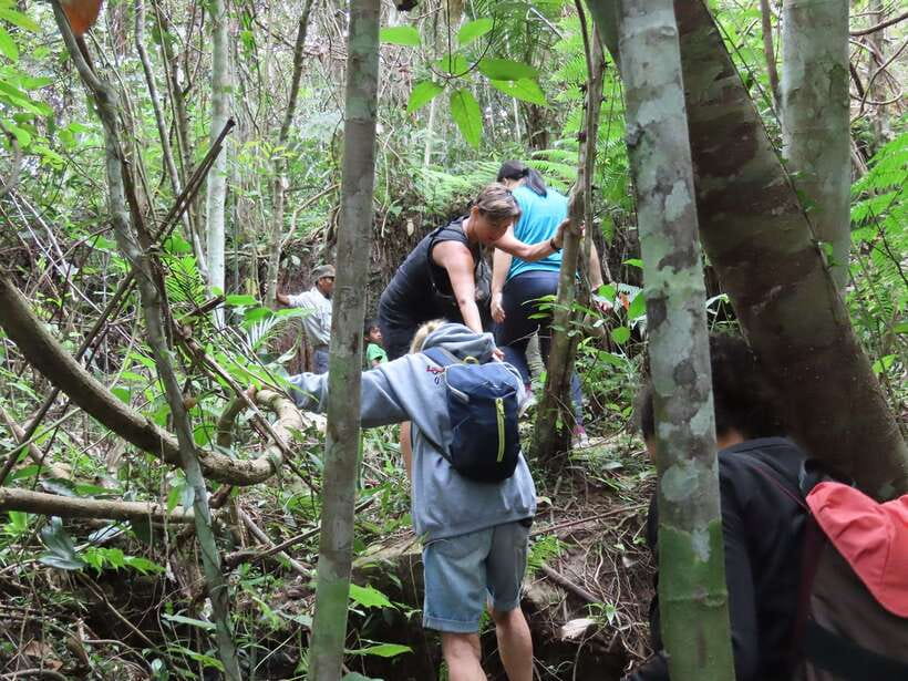 Trekking Tour at Phnom Kulen National Park from Siem Reap - Lunch, the return drive, and Preah Dak Market