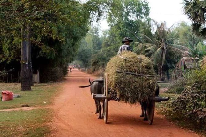 Tuk Tuk Journey: Exploring Rural Life and Silk Farm Craftsmanship - Key points to know before booking