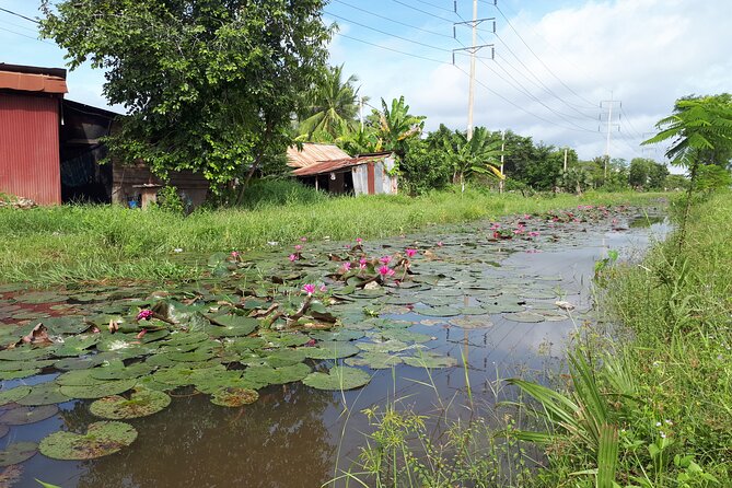 Tuk Tuk Journey: Exploring Rural Life and Silk Farm Craftsmanship - What the private setup means for your morning