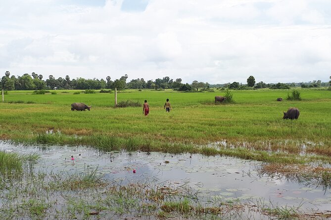 Tuk Tuk Journey: Exploring Rural Life and Silk Farm Craftsmanship - Booking advice and final call
