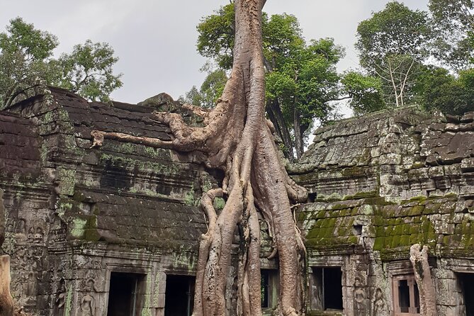 Two Days Angkor Tour - Kompong Phluk and life on the Great Lake