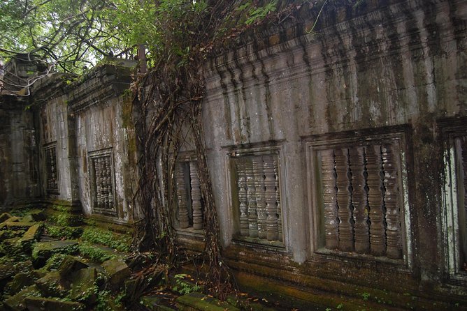 Two Days Angkor Wat Park-Beng Mealea and Kampong Phluk Village - Ta Prohm and the famous jungle setting