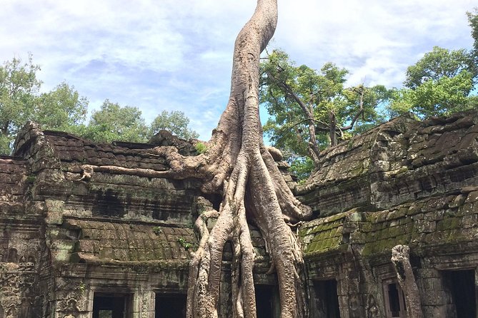 Unveiling 2 Days Private Angkor Wat/Beyond In Sunrise/Sunset Tour - Who should book this Angkor tour?