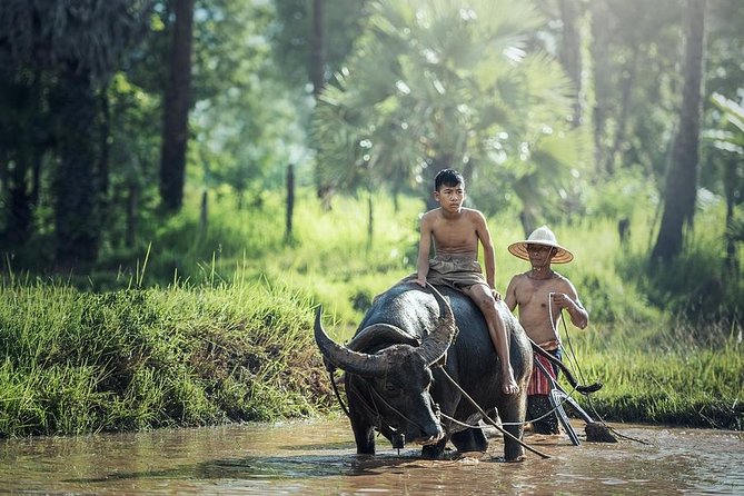 Village Life Tour from Siem Reap - Key Points to Know Before You Go