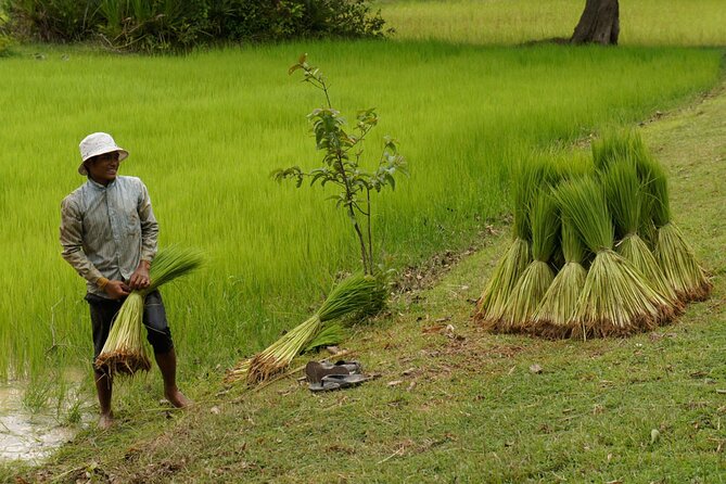 Village Life Tour from Siem Reap - Seeing Daily Work in a Cambodian Village