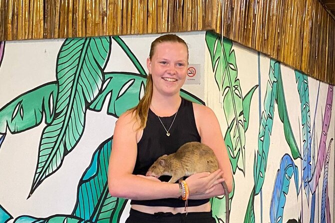 War Museum, Killing Field, and APOPO Hero RATs Tour - Transport, timing, and who will enjoy it most