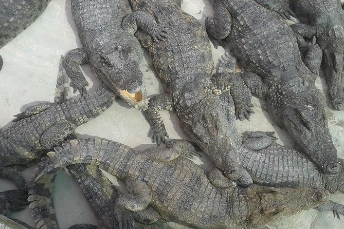 War Museum, Killing Field and Floating village ( Chong Kneas) Tour - Chong Kneas and the wide waters of Tonle Sap
