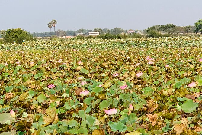 War Museum, Killing Field and Floating village ( Chong Kneas) Tour - Is $75 a fair price in Siem Reap?